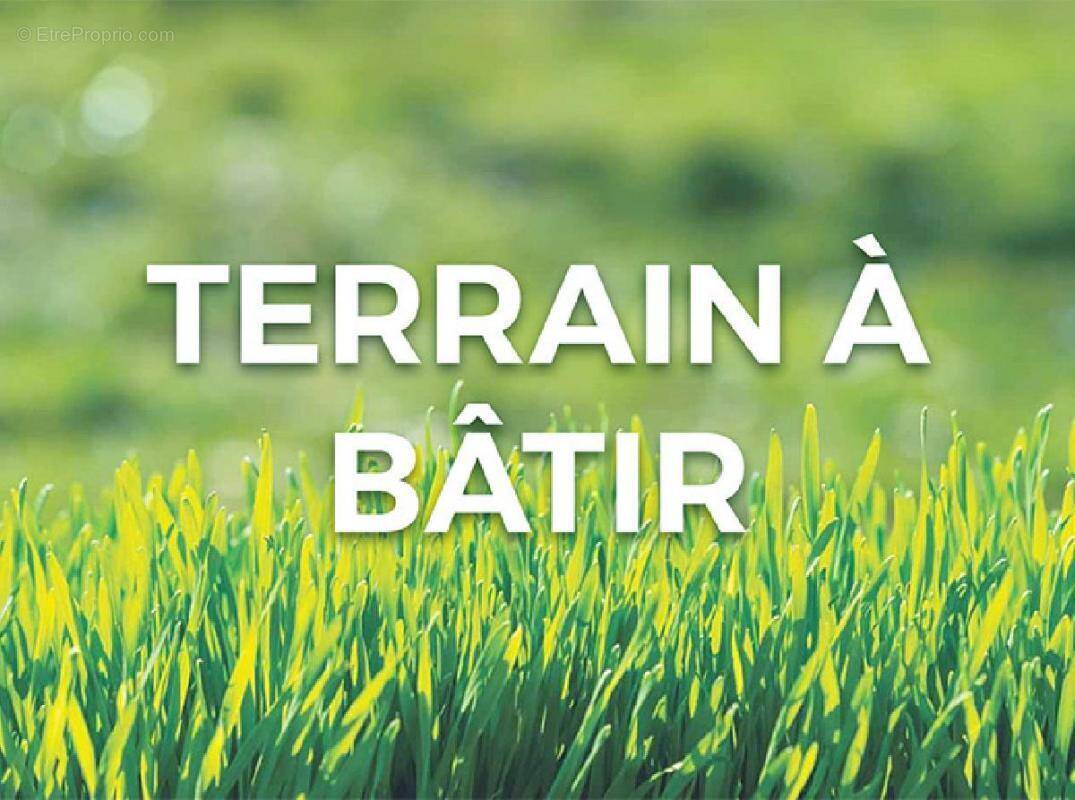 Terrain à BALIZAC