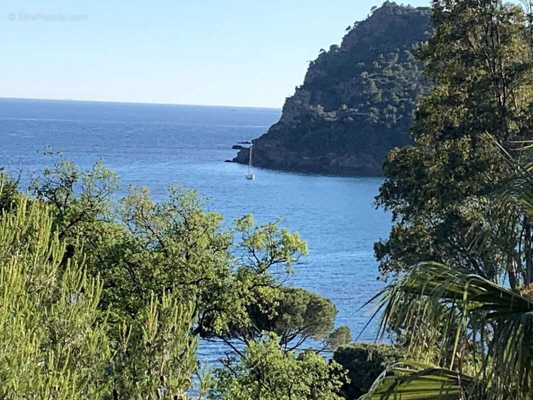 Maison à RAYOL-CANADEL-SUR-MER