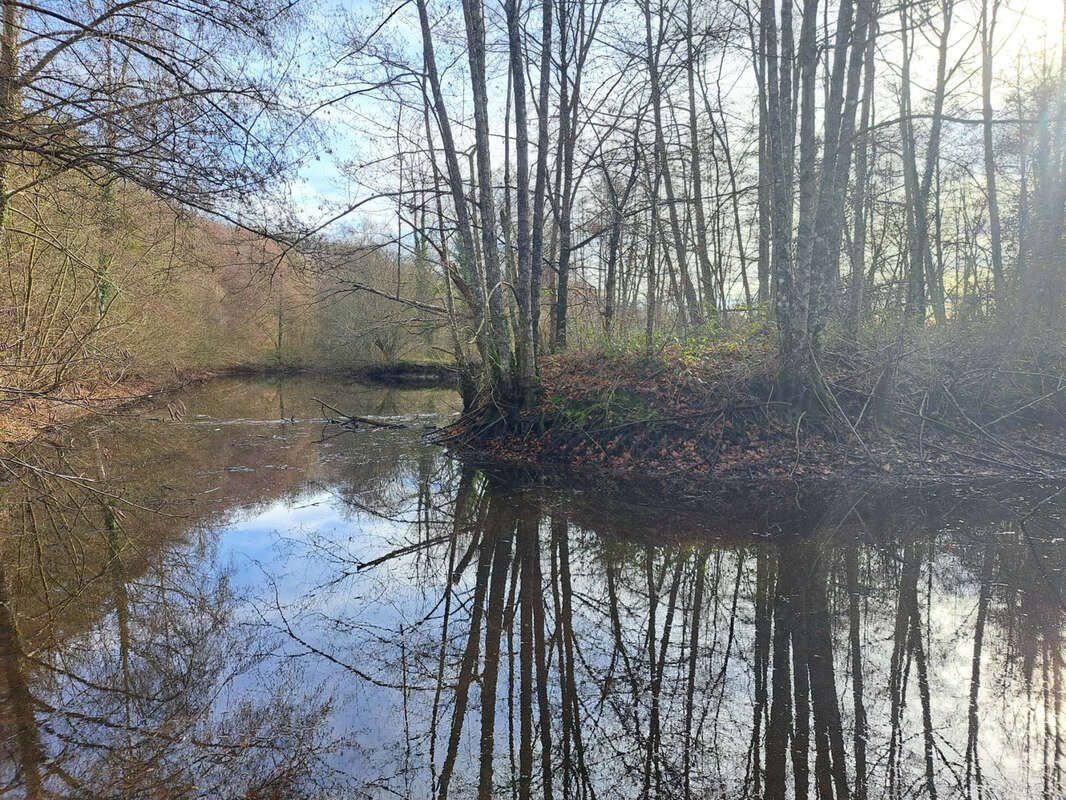 Terrain à SAINT-CALAIS