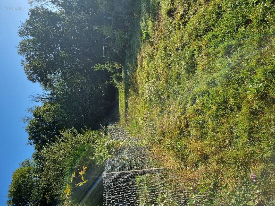 Terrain à PRESLES-EN-BRIE