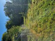 Terrain à PRESLES-EN-BRIE