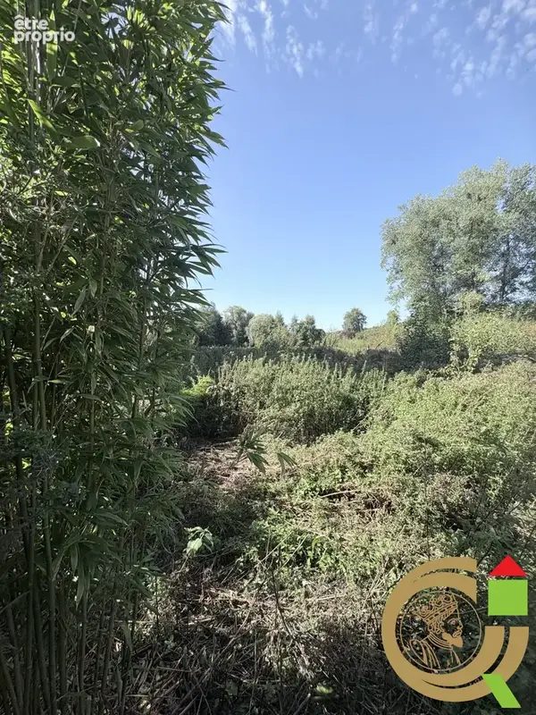 Terrain 12 930 m² à vendre à Recques-Sur-Course (62170) - photo 2
