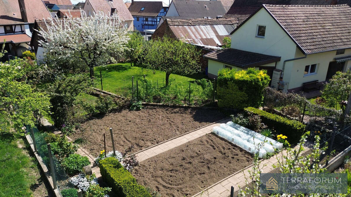 Maison à WINGERSHEIM