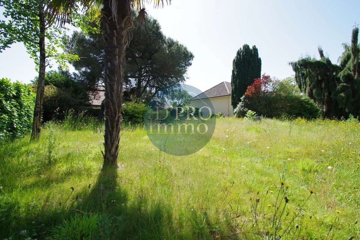 Terrain à BASSE-GOULAINE