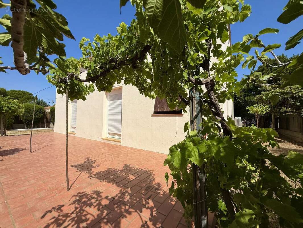 Maison à CAVES