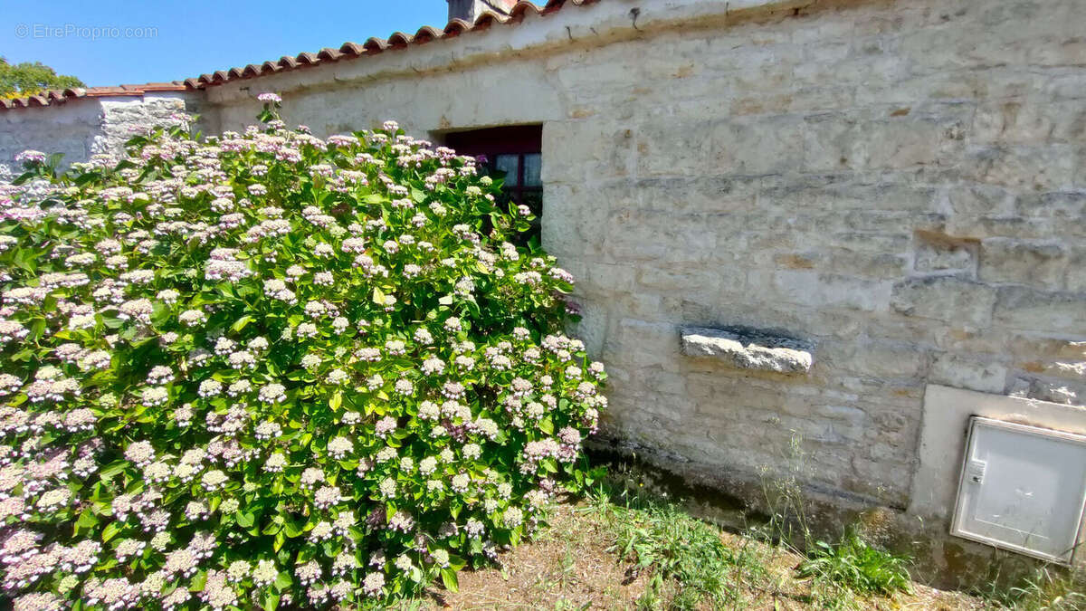 Maison à CURZON