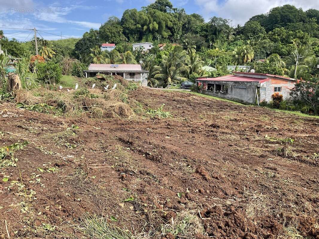 Terrain à LE FRANCOIS
