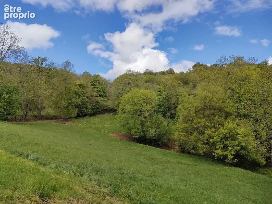 Exceptionnel !!! Ensemble immobilier sur 93 HA de terres avec ruisseau , sources ... - photo 15
