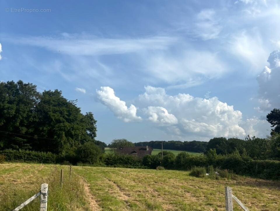 Terrain à ETALLEVILLE
