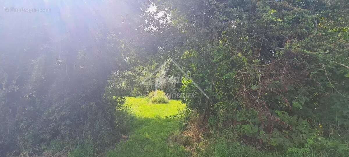 Maison à SAINT-PLAISIR