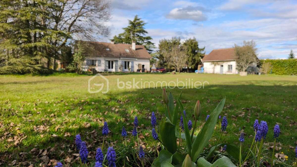 Propriété - photo 16