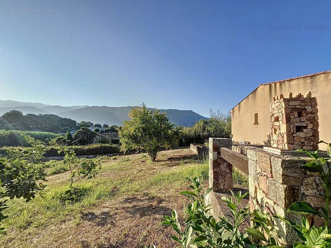 Corse du sud - Ajaccio - Sarrola-Carcopino - Maison - Grand terrain - photo 2