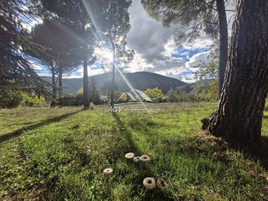 Terrain à SAINT-FLORENT-SUR-AUZONNET