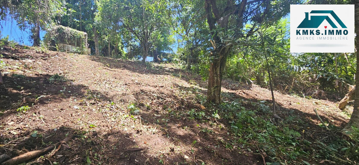 Terrain à LE LAMENTIN