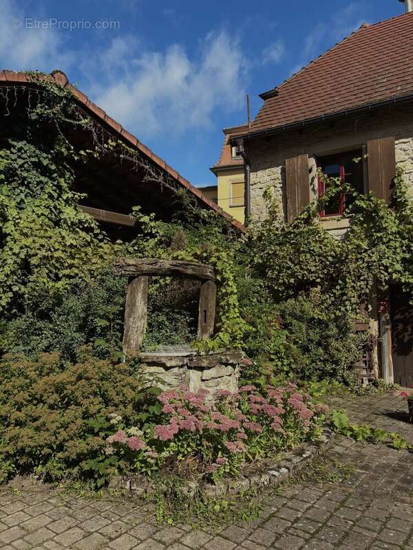 Appartement à FENETRANGE