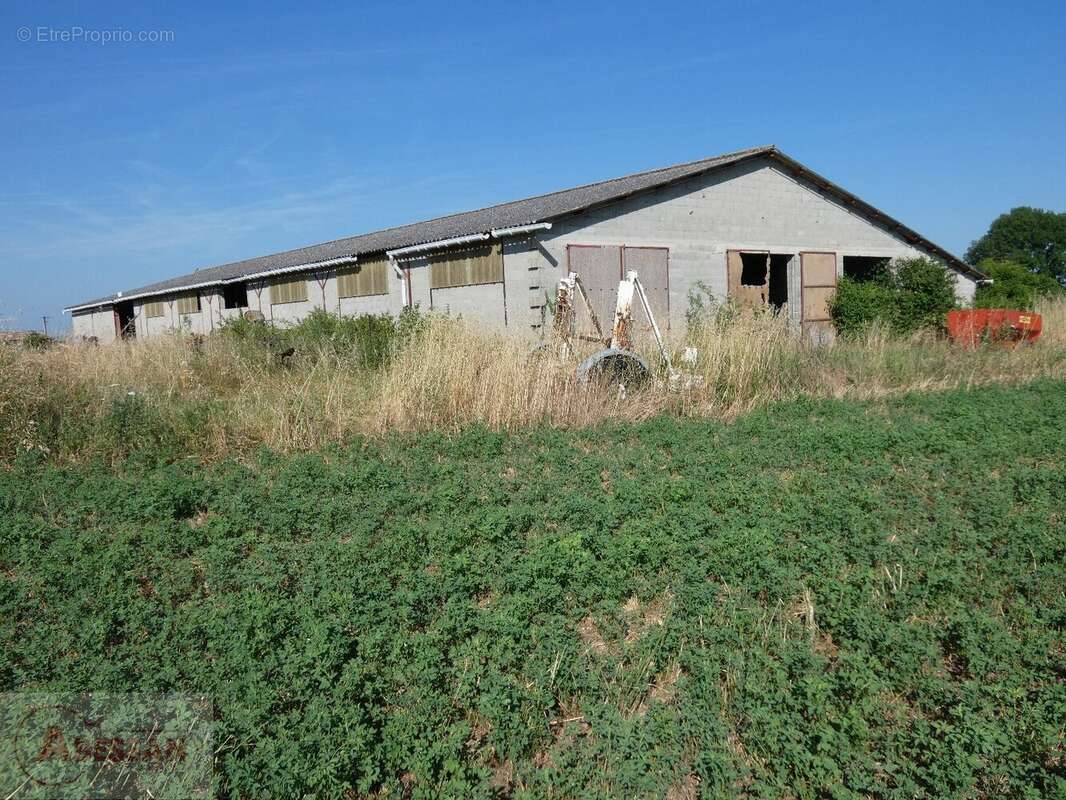 Commerce à CORDES-SUR-CIEL