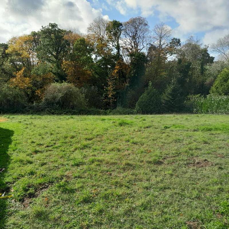 Terrain à LEZARDRIEUX