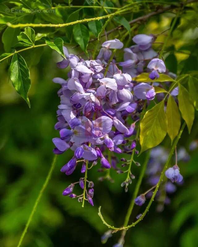 Maison à BOURRON-MARLOTTE