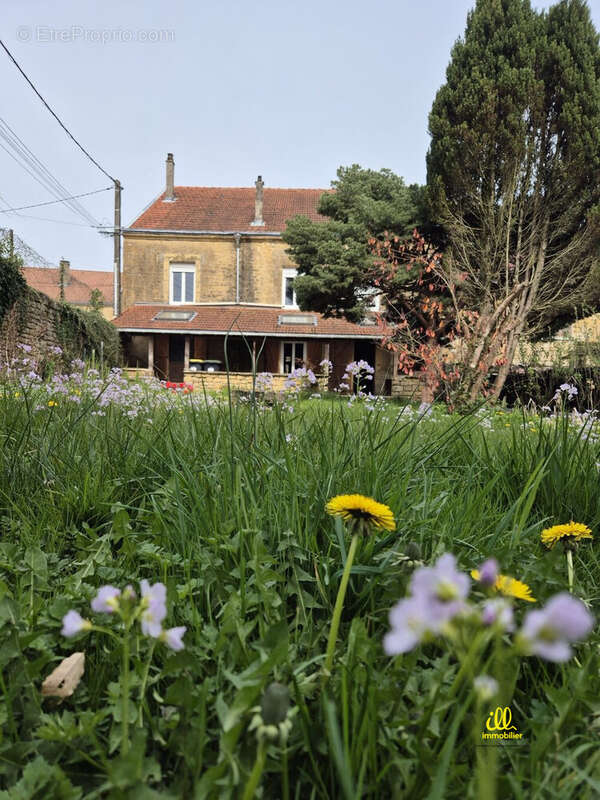 Maison à SAPOGNE-ET-FEUCHERES