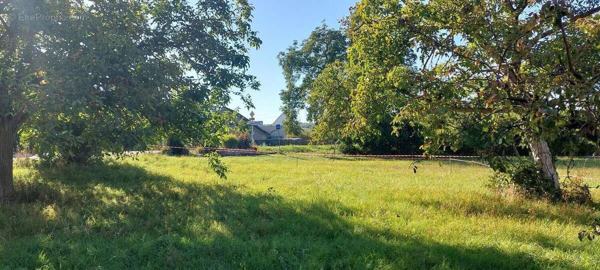 Photo 2 - Terrain à DORLISHEIM