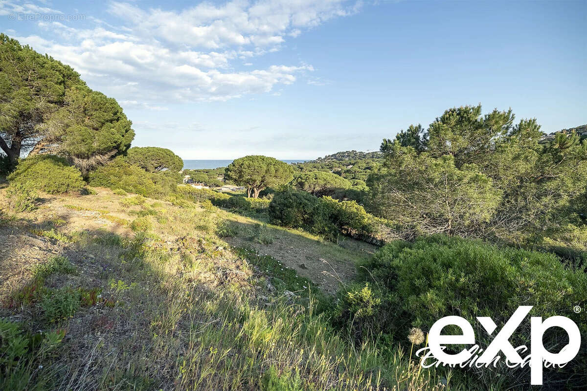 Terrain à SAINTE-MAXIME