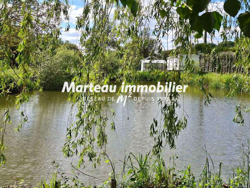 Terrain de loisirs - photo 6