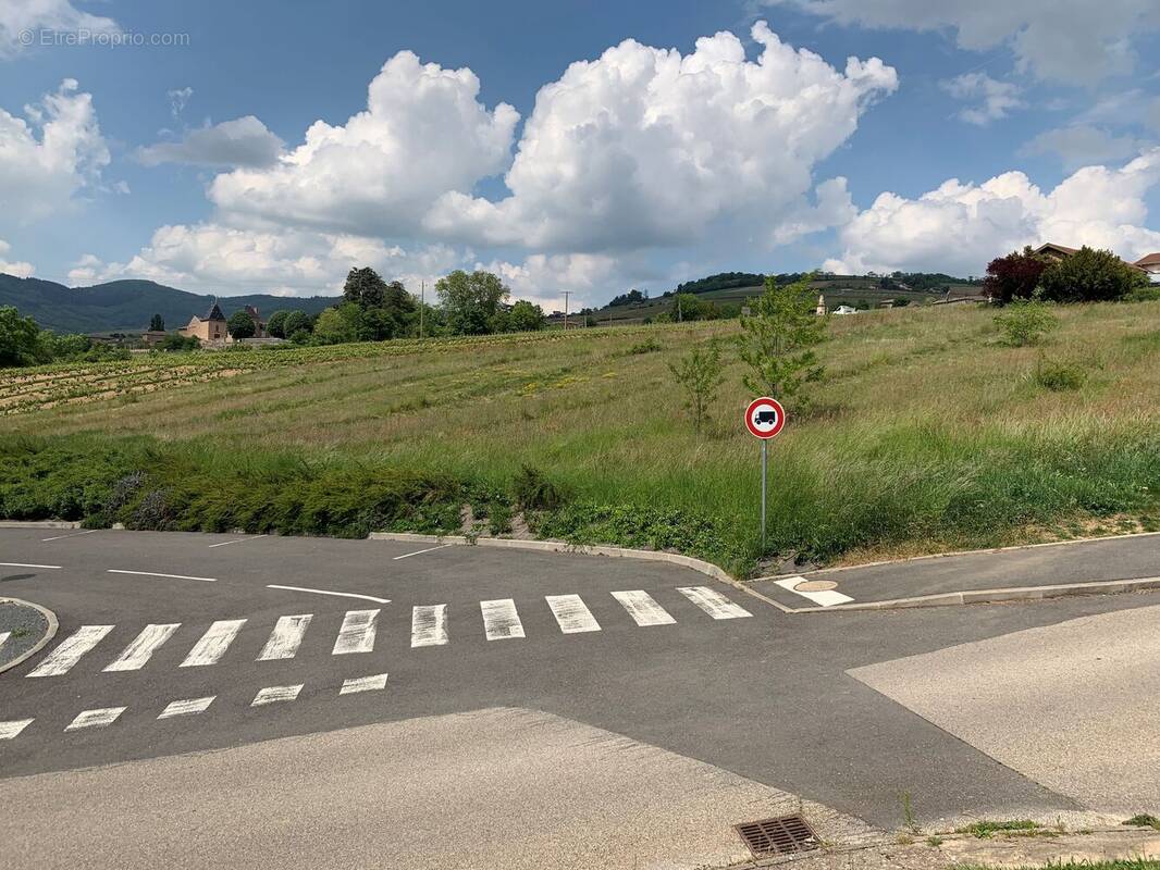 Photo 1 - Maison à JULIENAS