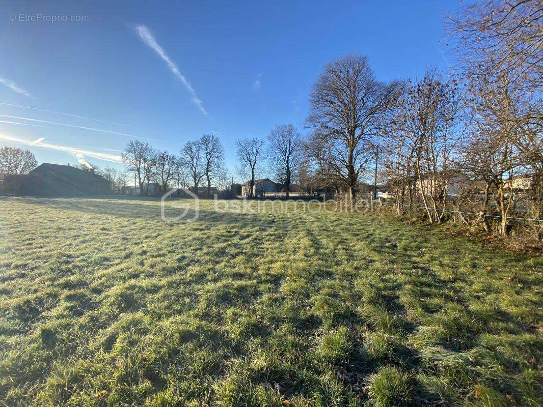 Terrain à SAINT-PAULIEN