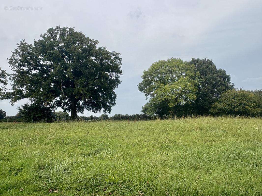 Maison à LE MESNIL-ROUXELIN