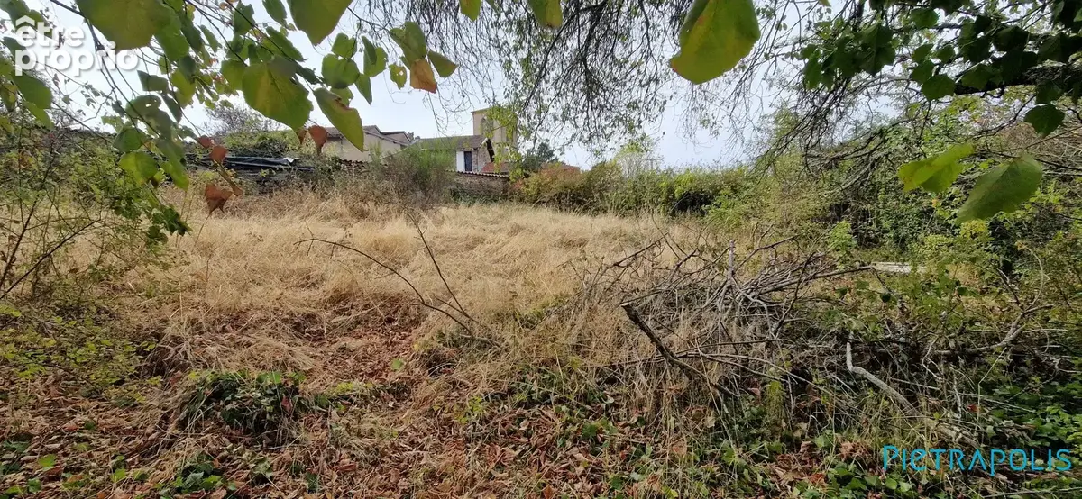 Terrain à SAINT-APPOLINAIRE