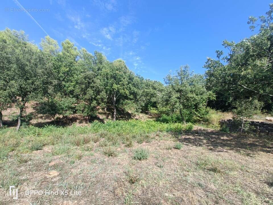 Terrain 930 m² à Taradeau  - photo 2