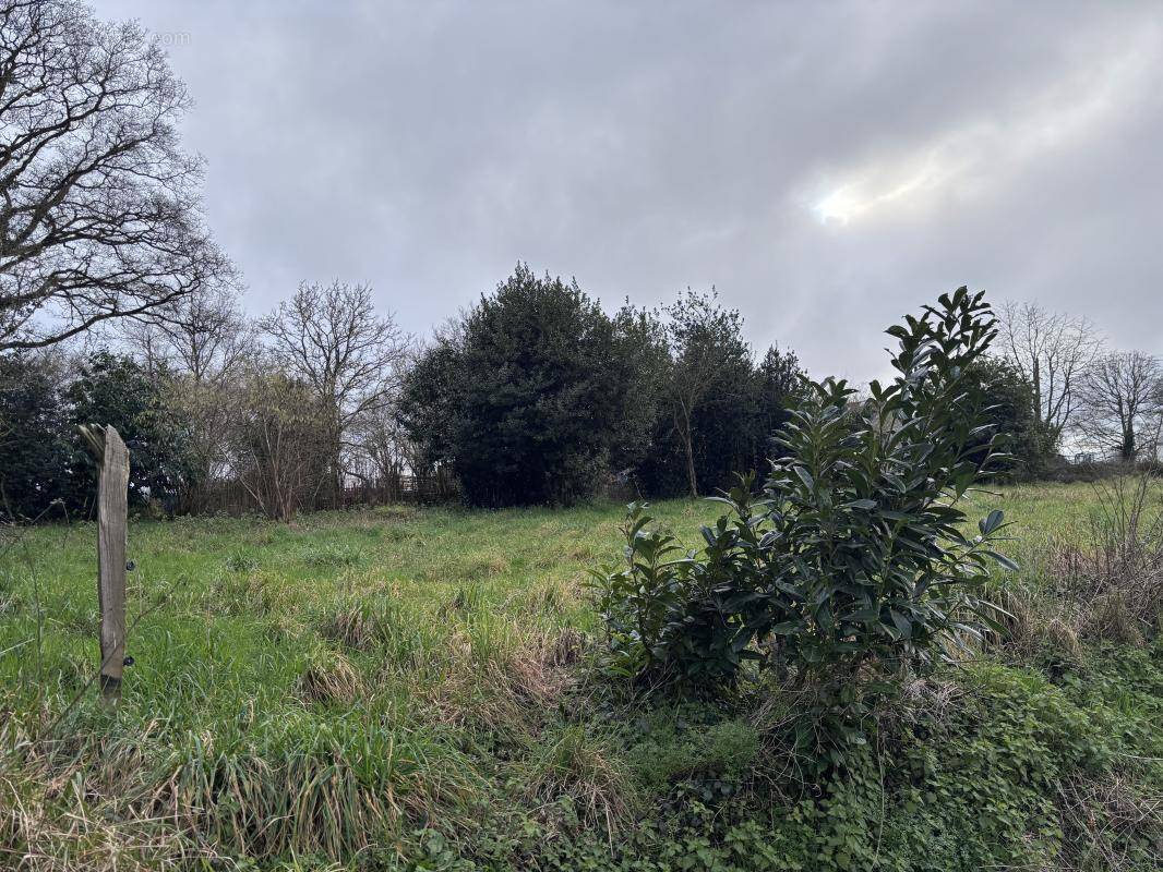 Terrain à PONTCHATEAU