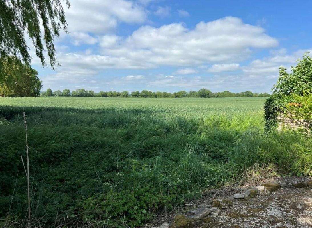 Maison à VILLEFAGNAN