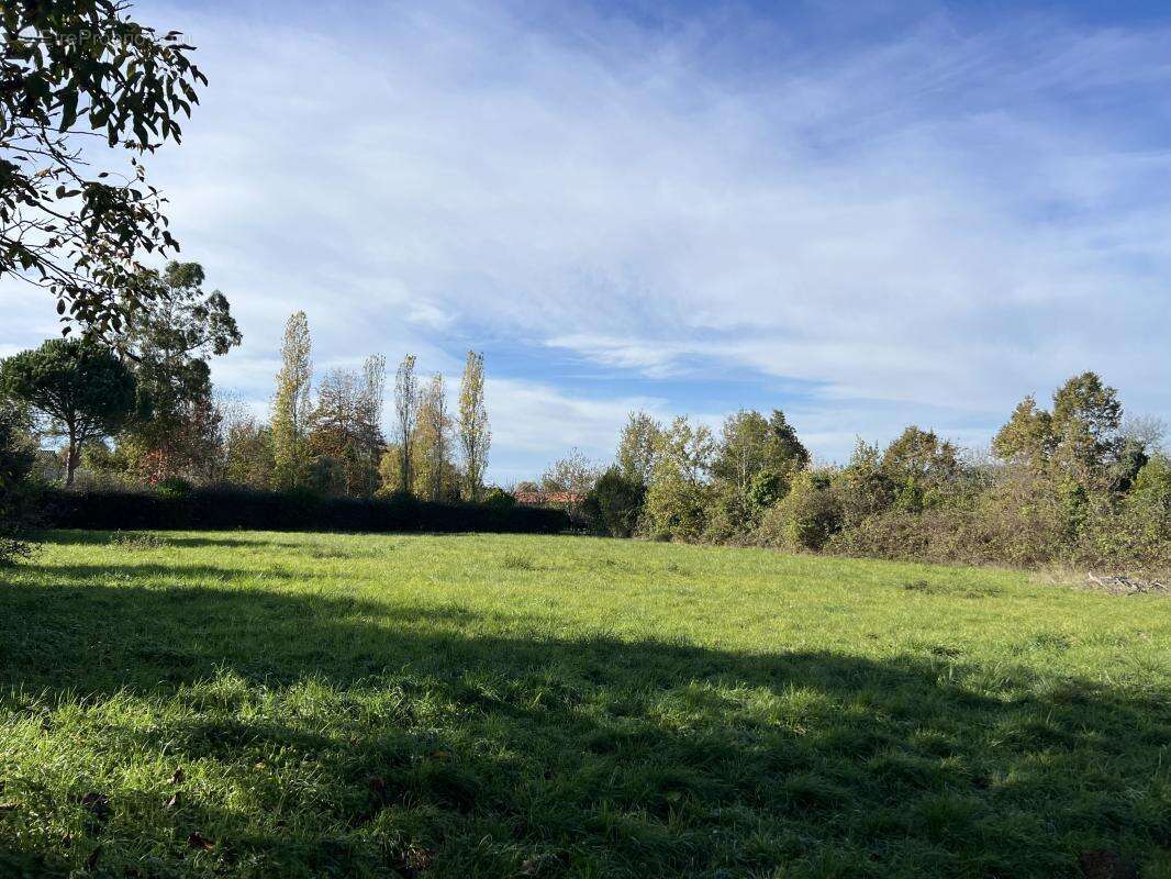 Terrain à SAINT-NICOLAS-DE-LA-GRAVE