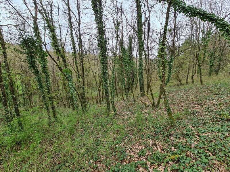 Maison à RUELLE-SUR-TOUVRE