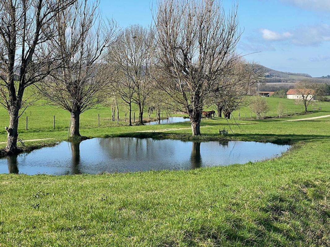 Domaine de caractère avec installations équestres exceptionnelles sur 40 hectares - photo 14