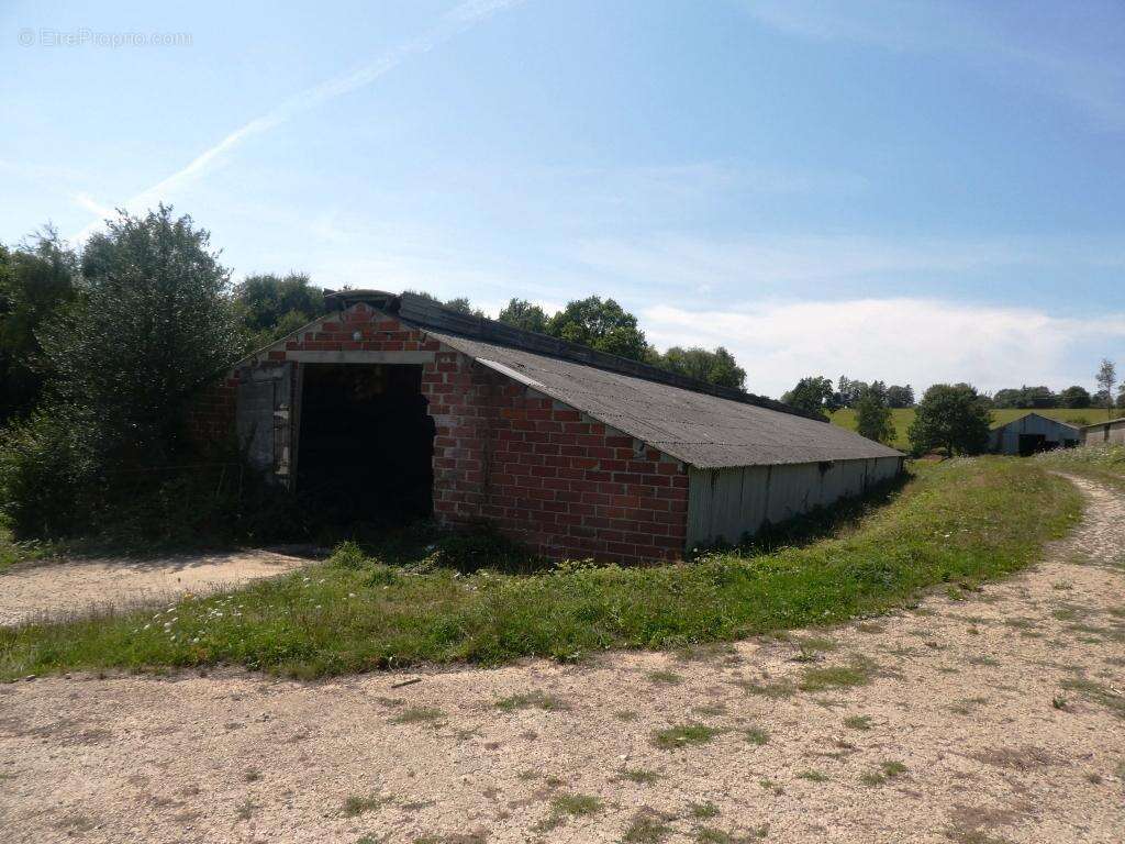 Exploitation agricole - photo 23