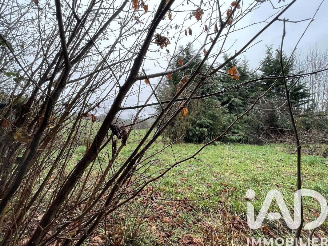 Photo 9 - Maison à ROZIERS-SAINT-GEORGES