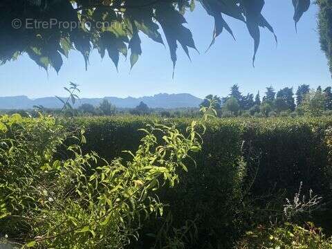 Maison à AVIGNON