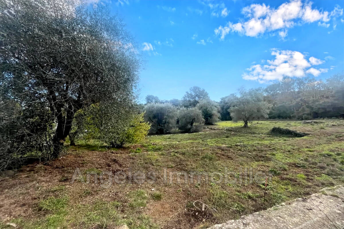 Terrain à VALBONNE