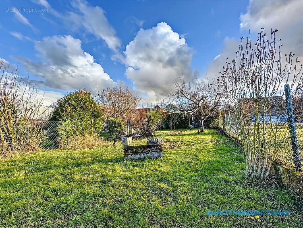 Terrain à DAUENDORF