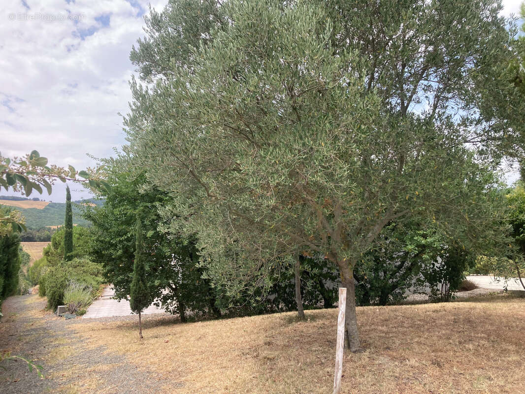 Village en hauteur entre Limoux et Carcassonne, villa de plain pieds, 2 chambres, avec terrasses et garage - photo 17