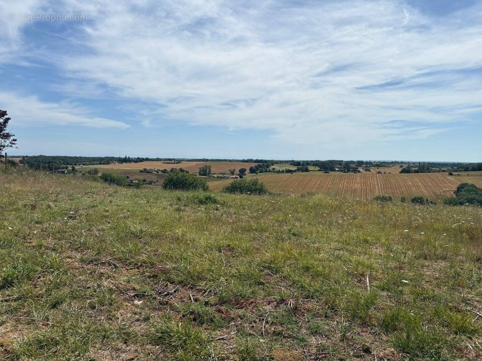 Terrain à LA MAGDELAINE-SUR-TARN