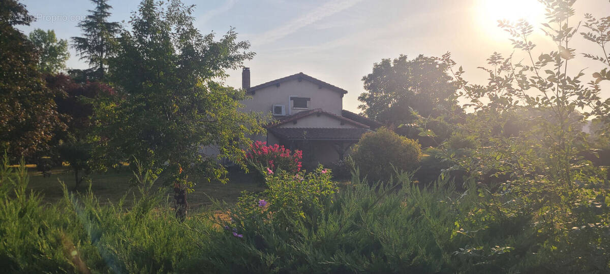 Maison à TREJOULS