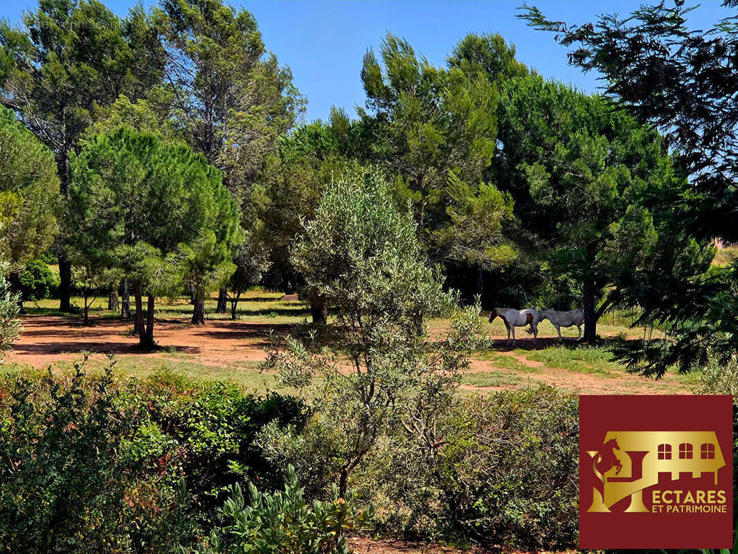Maison à ROQUEBRUNE-SUR-ARGENS