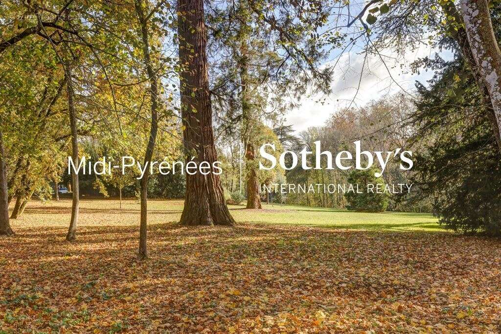 Maison à PUYLAURENS