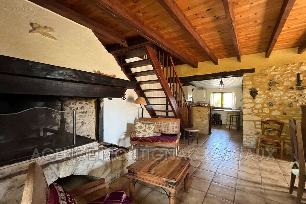 Maison 257 m² à Plazac  - photo 3