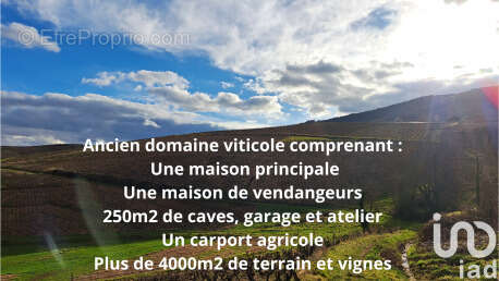 Photo 3 - Maison à QUINCIE-EN-BEAUJOLAIS