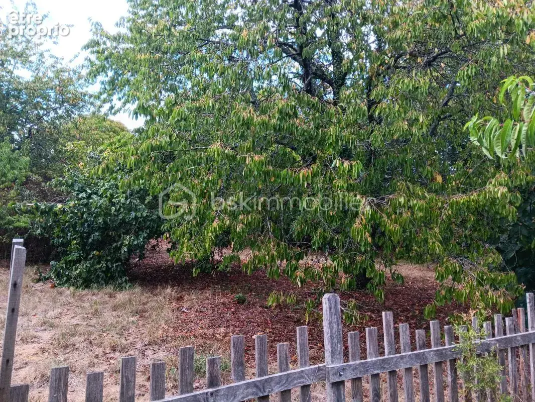  Longère de 195 m² + 185 m² de dépendances – Terrain 2 783 m² - photo 22