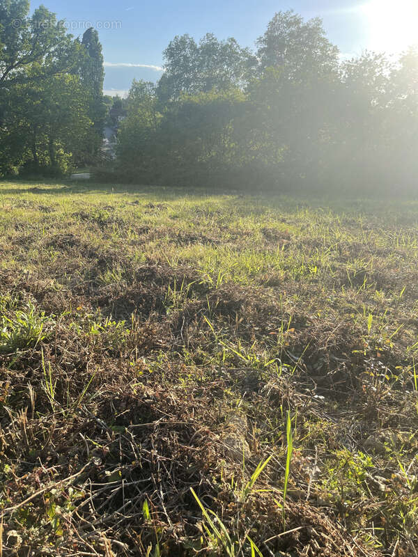 Terrain à ORTHEZ